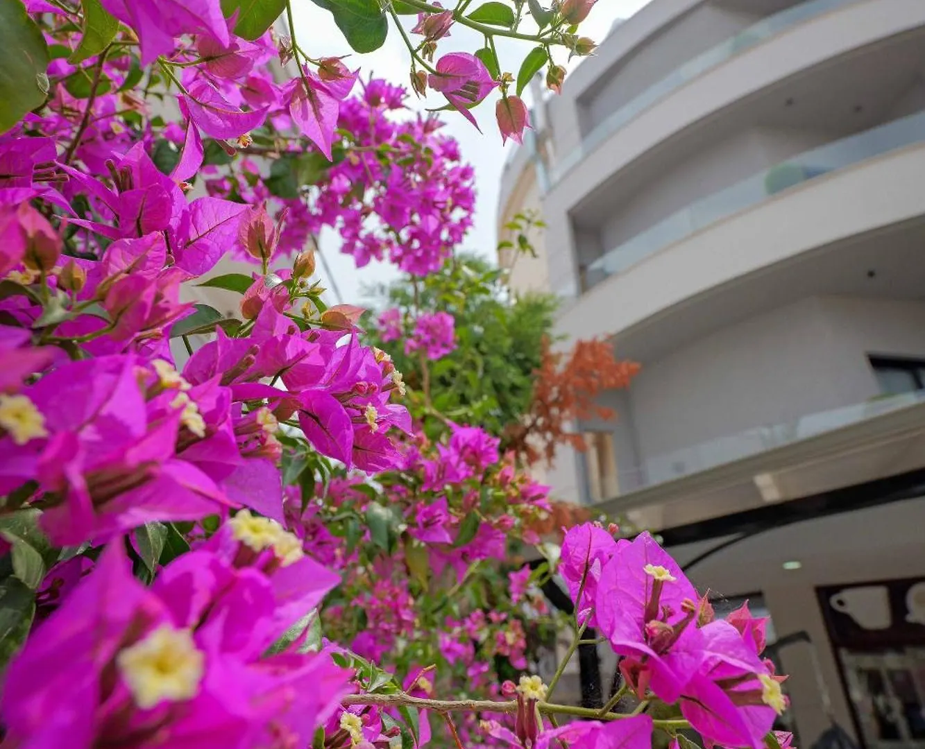 Hotel Kroi Ksamil